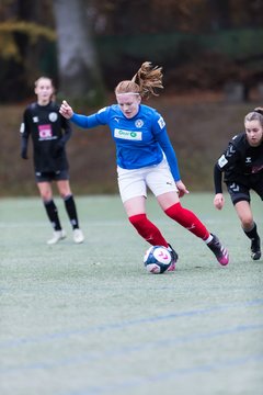 Bild 196 - wBJ Harburger TB - Holstein Kiel : Ergebnis: 2:1